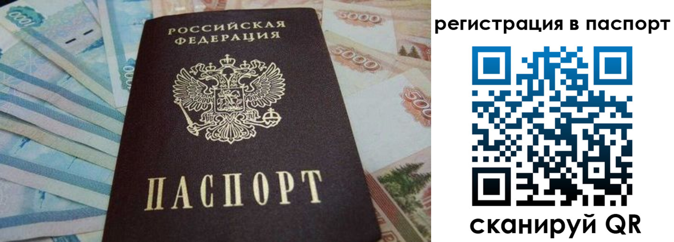 временная регистрация в квартире в Палласовке